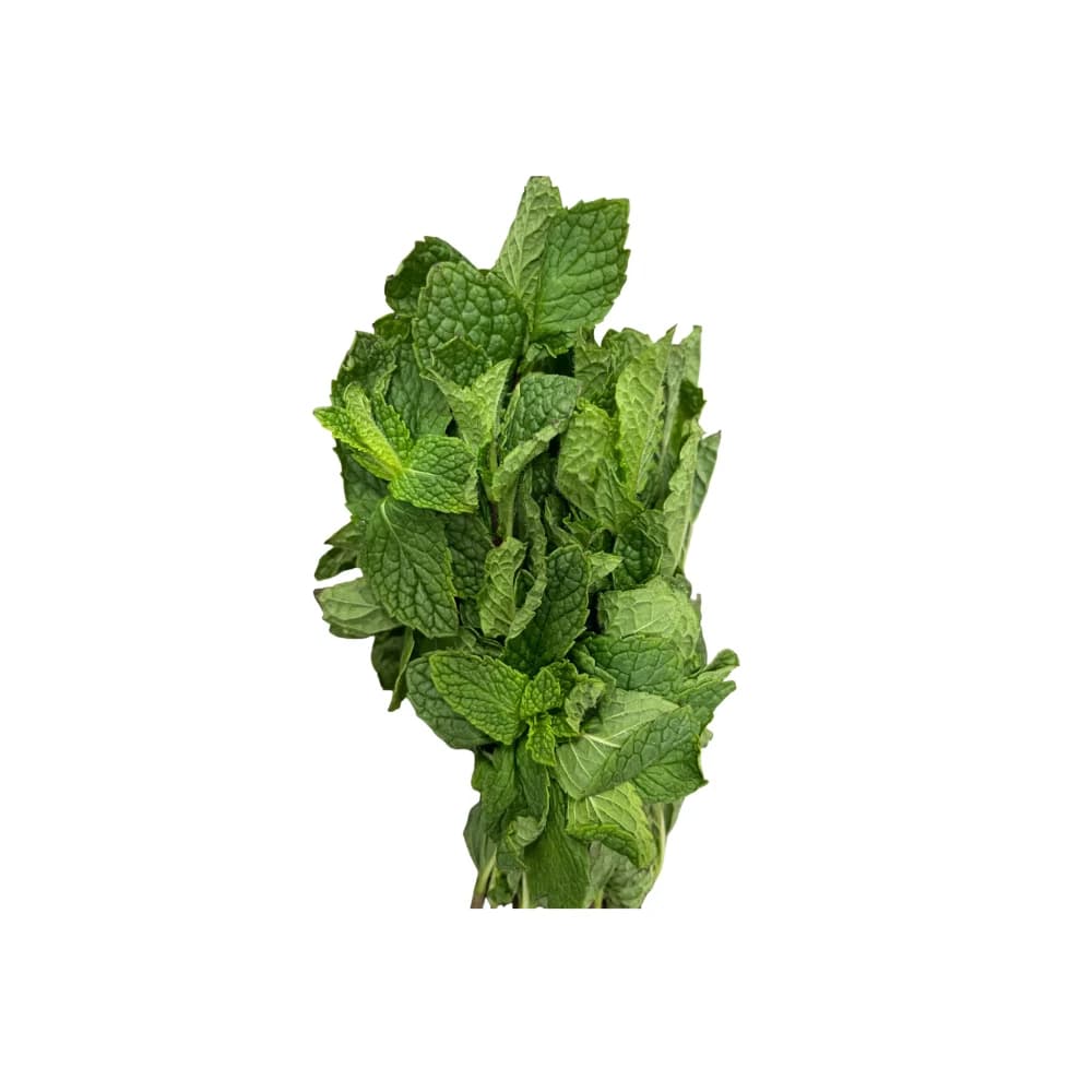 Fresh Mint