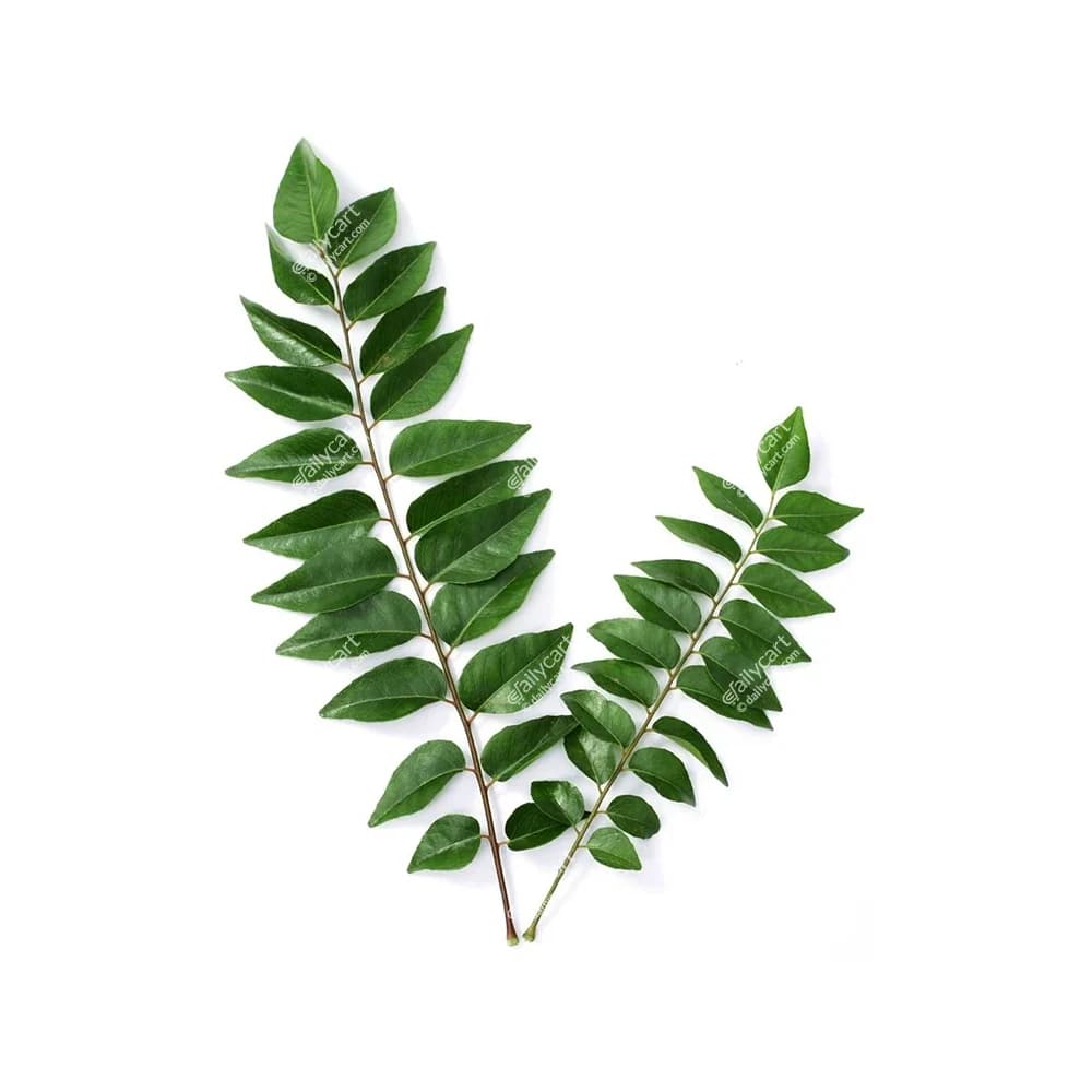 curry leaves