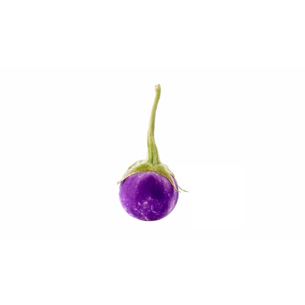 Eggplant Per LB